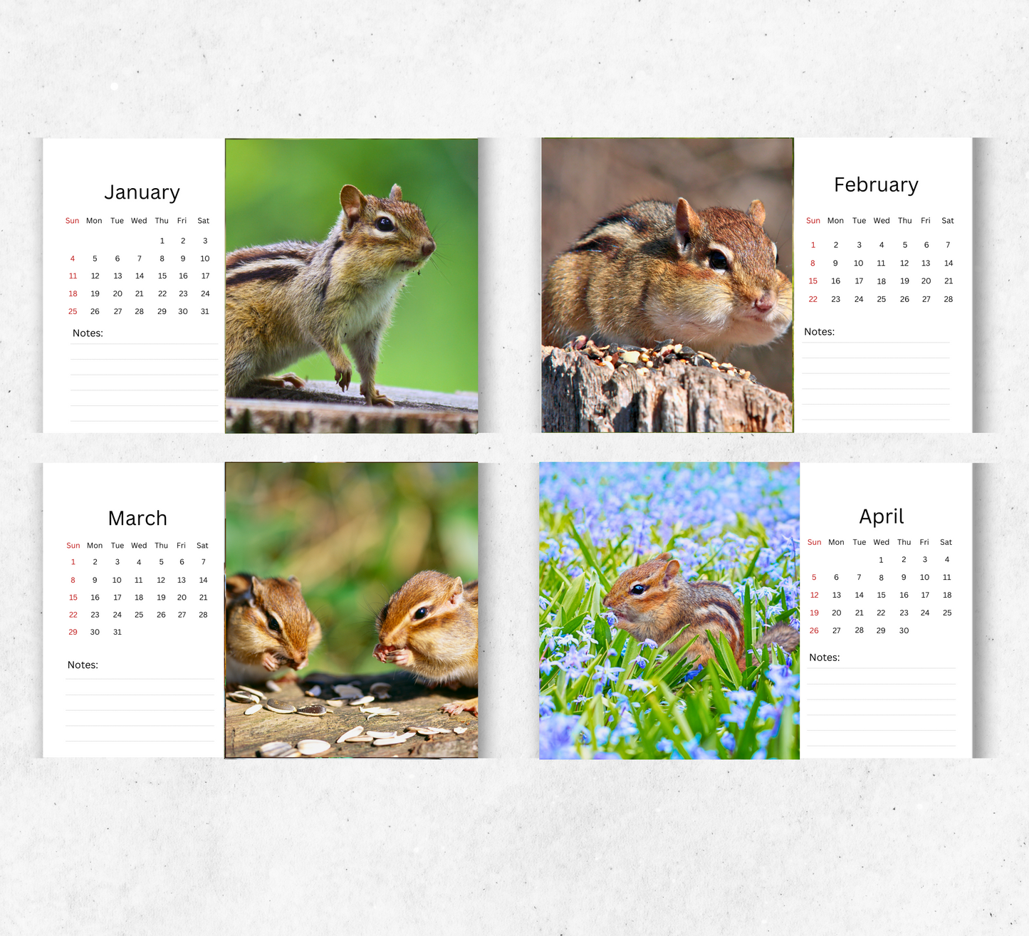 Chipmunk Desk Calendar 2026-2027