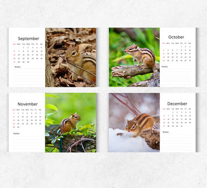 Chipmunk Desk Calendar 2026-2027