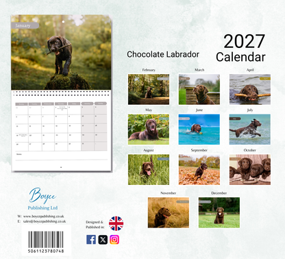 Chocolate Labrador Calendar 2027
