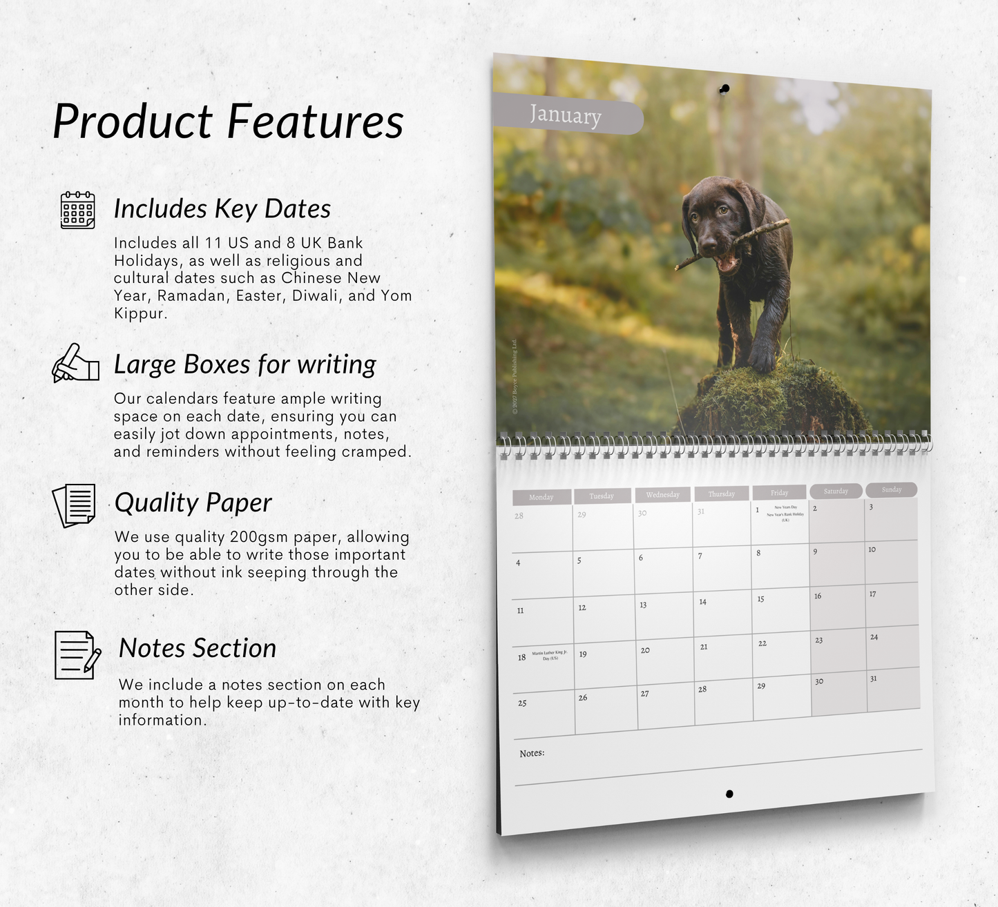 Chocolate Labrador Calendar 2027