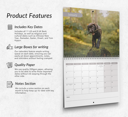Chocolate Labrador Calendar 2027