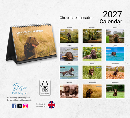 Chocolate Labrador Desk Calendar 2027-2028