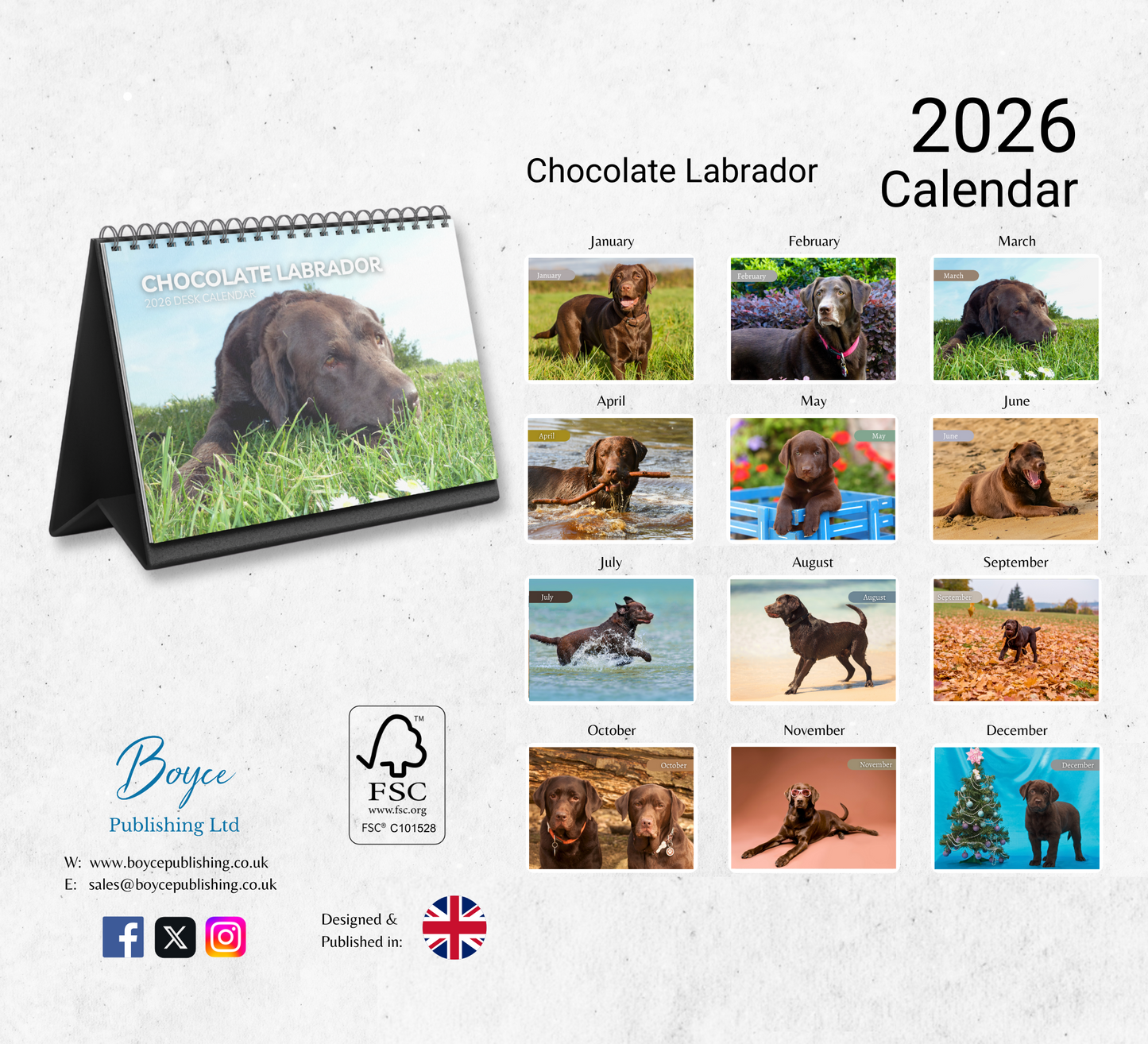 Chocolate Labrador Desk Calendar 2026-2027
