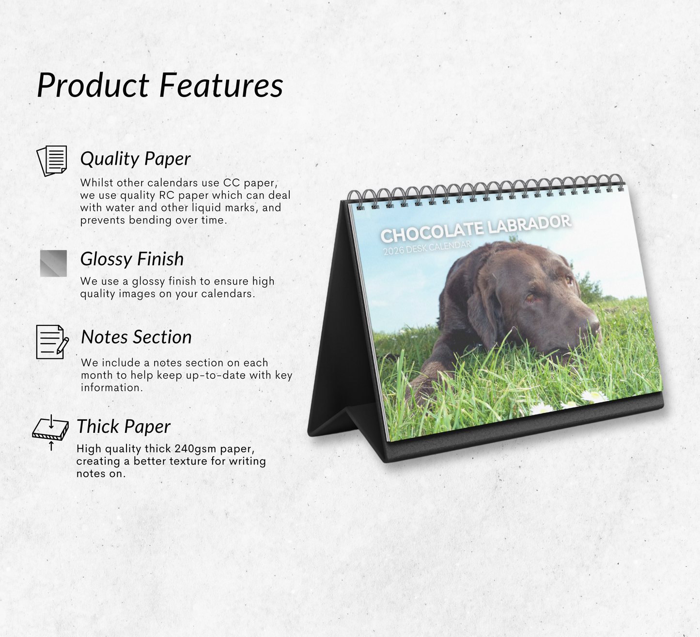 Chocolate Labrador Desk Calendar 2026-2027