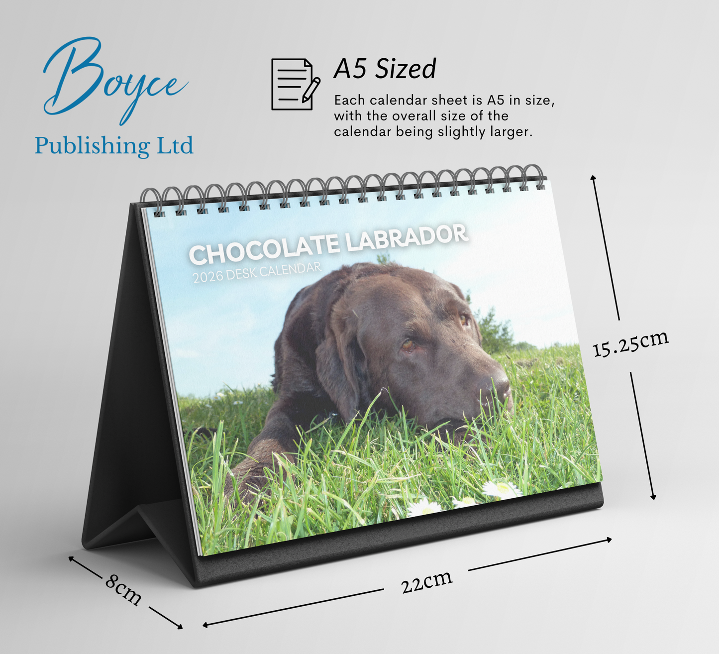 Chocolate Labrador Desk Calendar 2026-2027