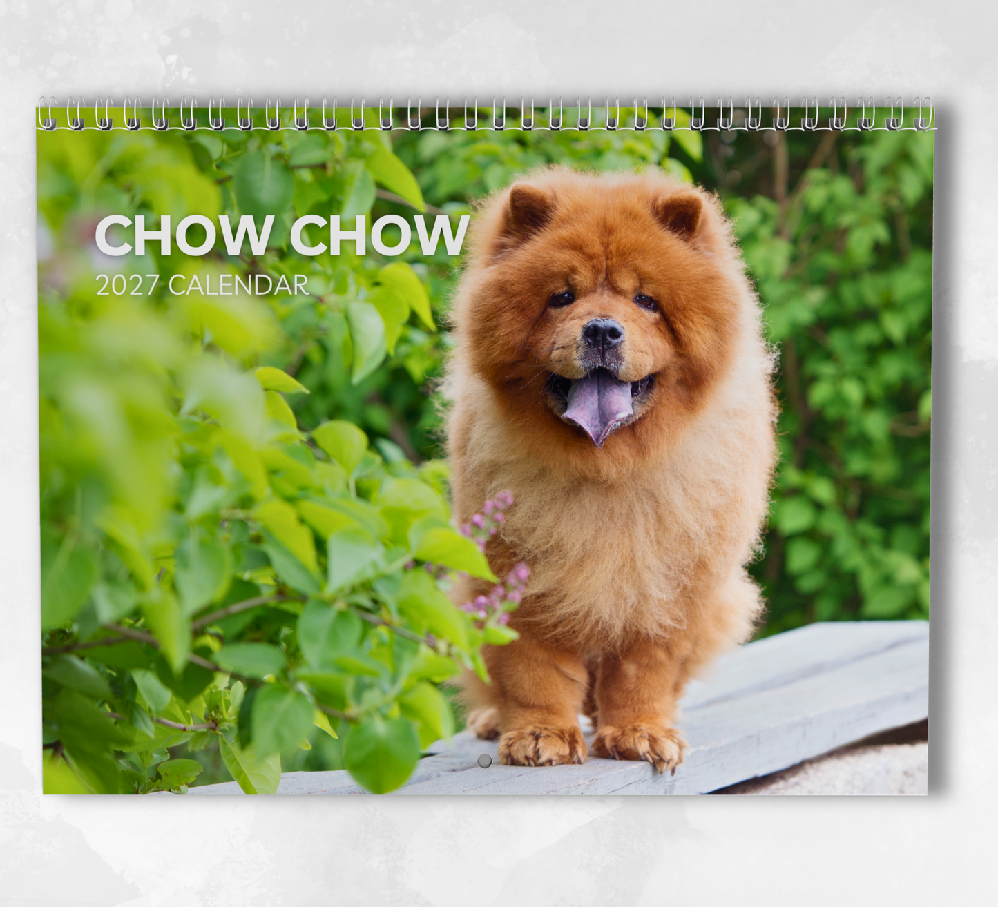 Chow Chow Calendar 2027