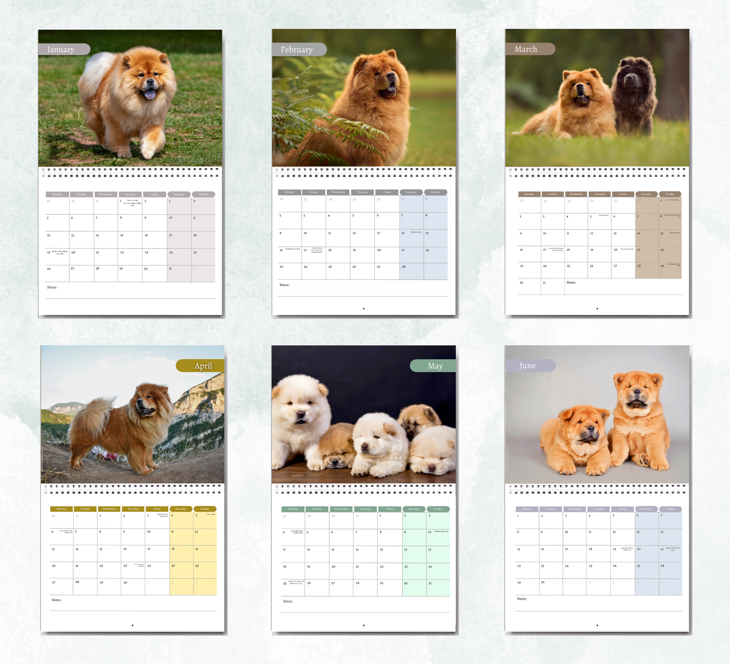 Chow Chow Calendar 2027