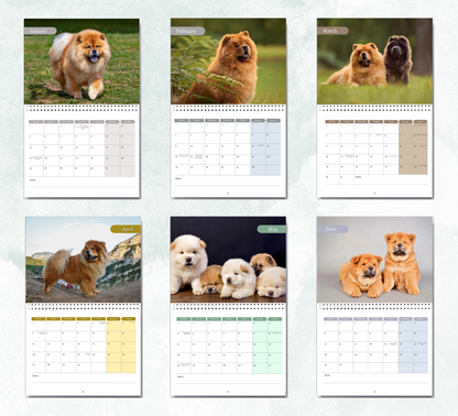 Chow Chow Calendar 2027