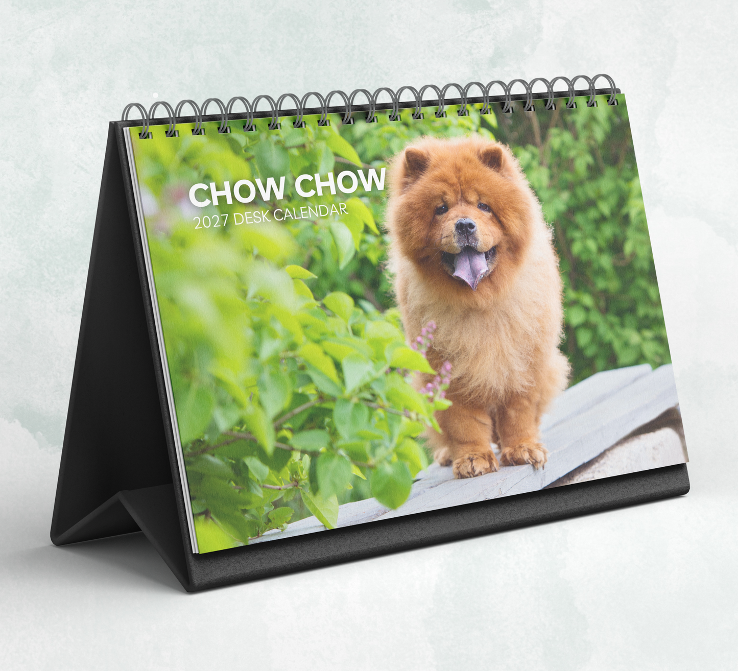 Chow Chow Desk Calendar 2027-2028