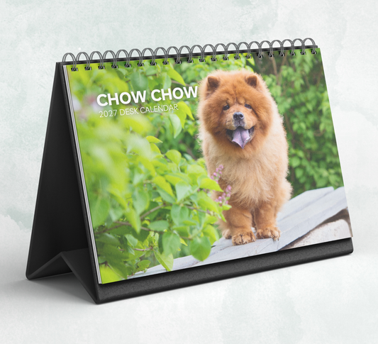 Chow Chow Desk Calendar 2027-2028
