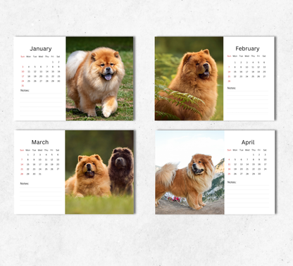 Chow Chow Desk Calendar 2027-2028