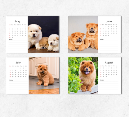 Chow Chow Desk Calendar 2027-2028