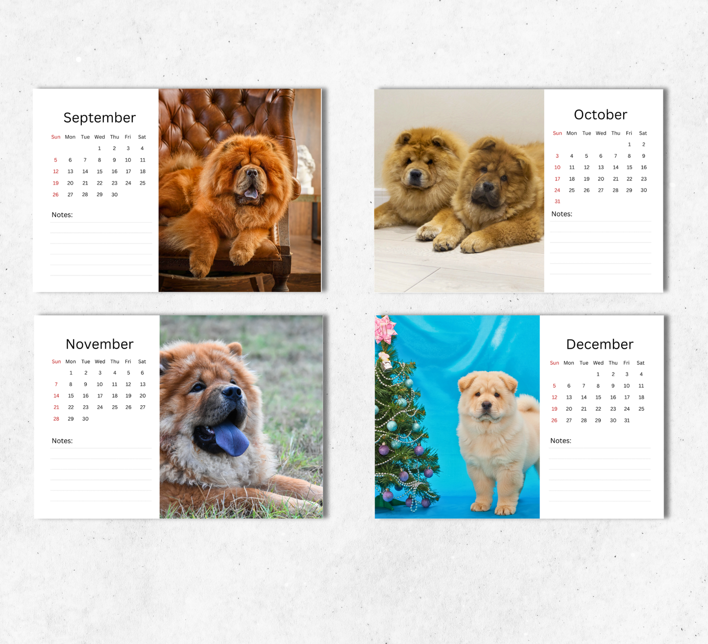 Chow Chow Desk Calendar 2027-2028