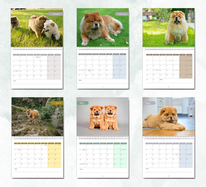 Chow Chow Calendar 2026
