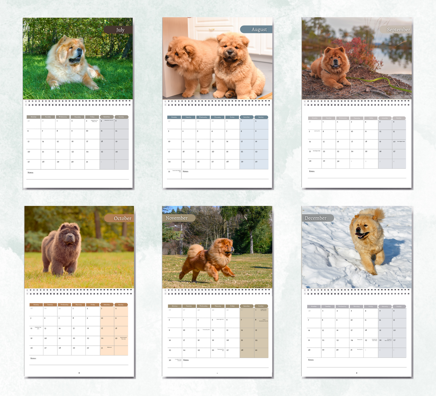 Chow Chow Calendar 2026