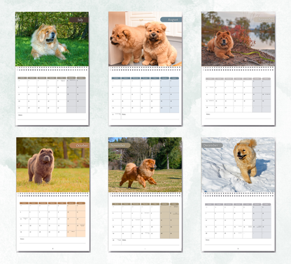 Chow Chow Calendar 2026