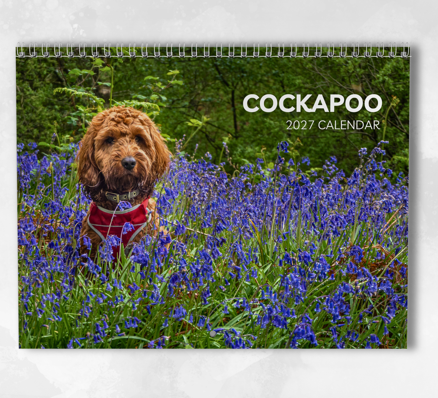 Cockapoo Calendar 2027