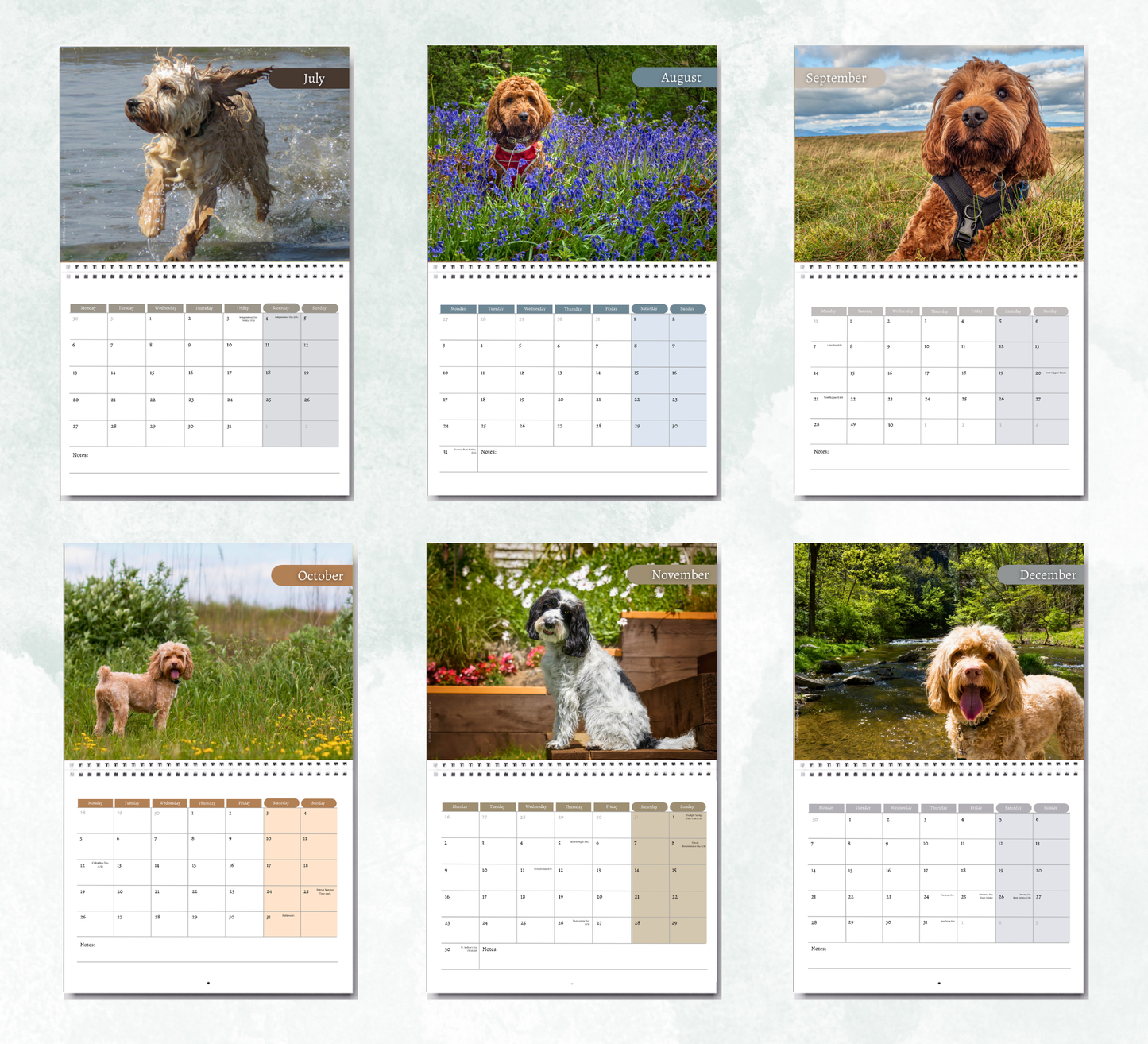 Cockapoo Calendar 2027