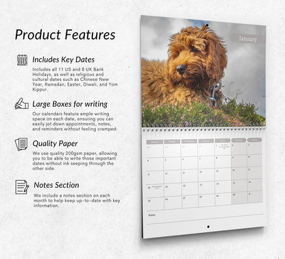 Cockapoo Calendar 2027