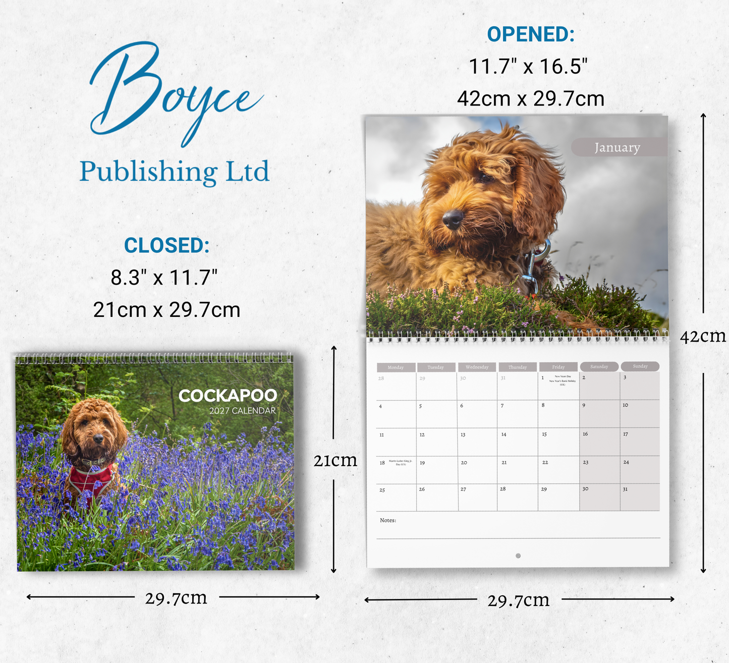 Cockapoo Calendar 2027