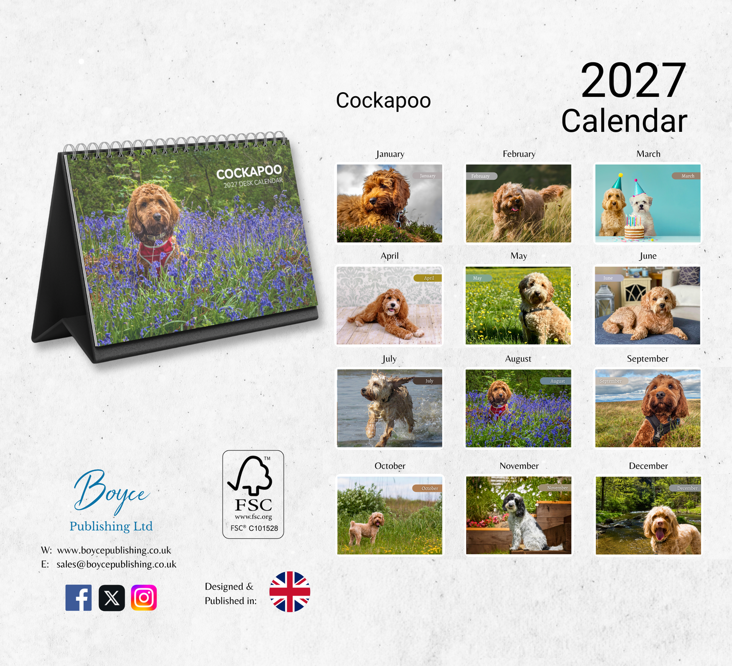 Cockapoo Desk Calendar 2027-2028