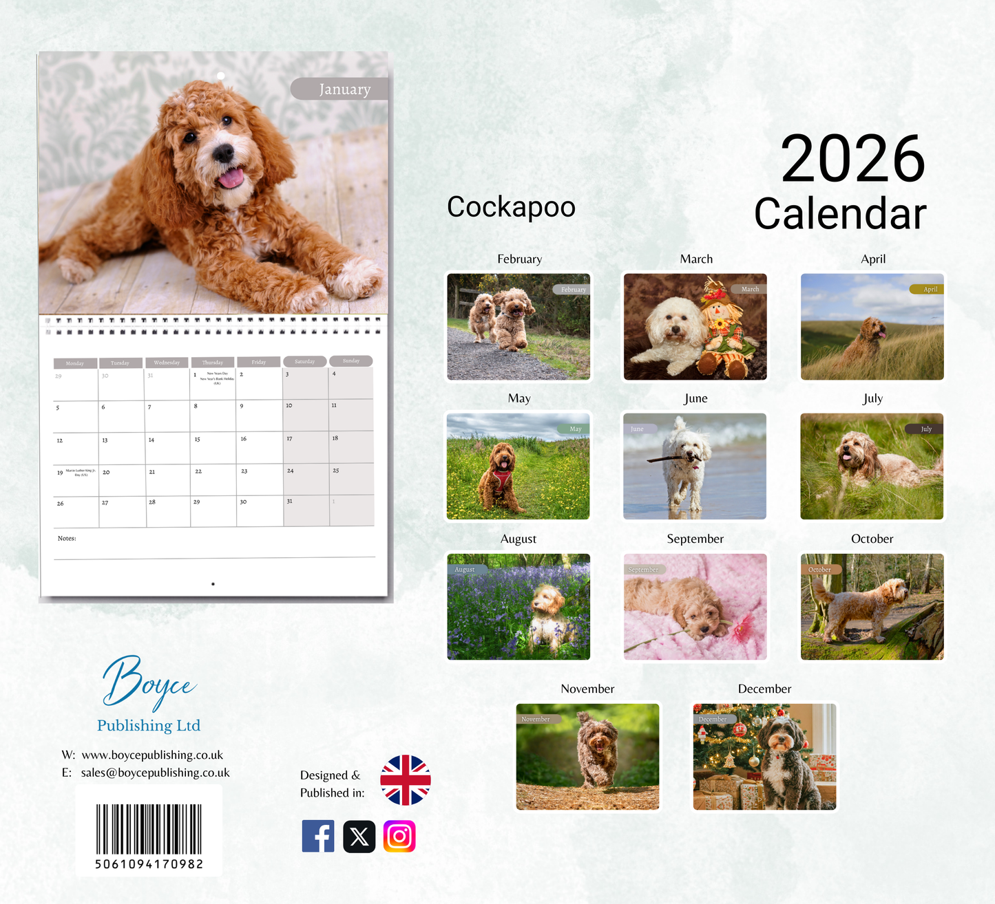 Cockapoo Calendar 2026