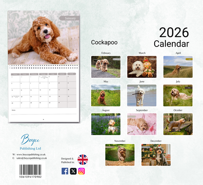 Cockapoo Calendar 2026
