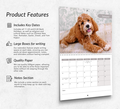 Cockapoo Calendar 2026