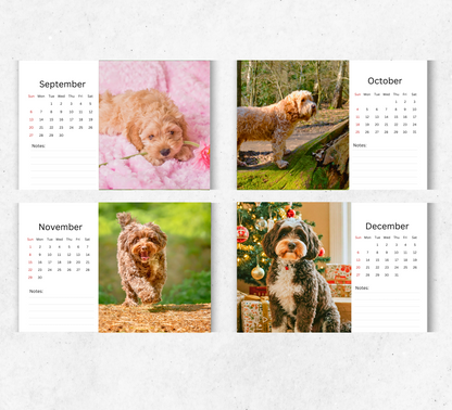 Cockapoo Desk Calendar 2026-2027