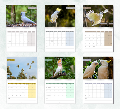 Cockatoo Calendar 2027