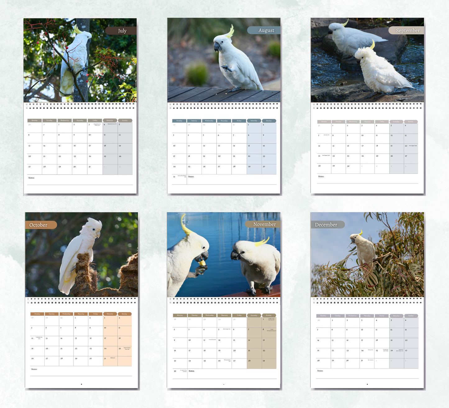 Cockatoo Calendar 2027