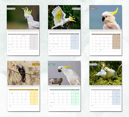Cockatoo Calendar 2026