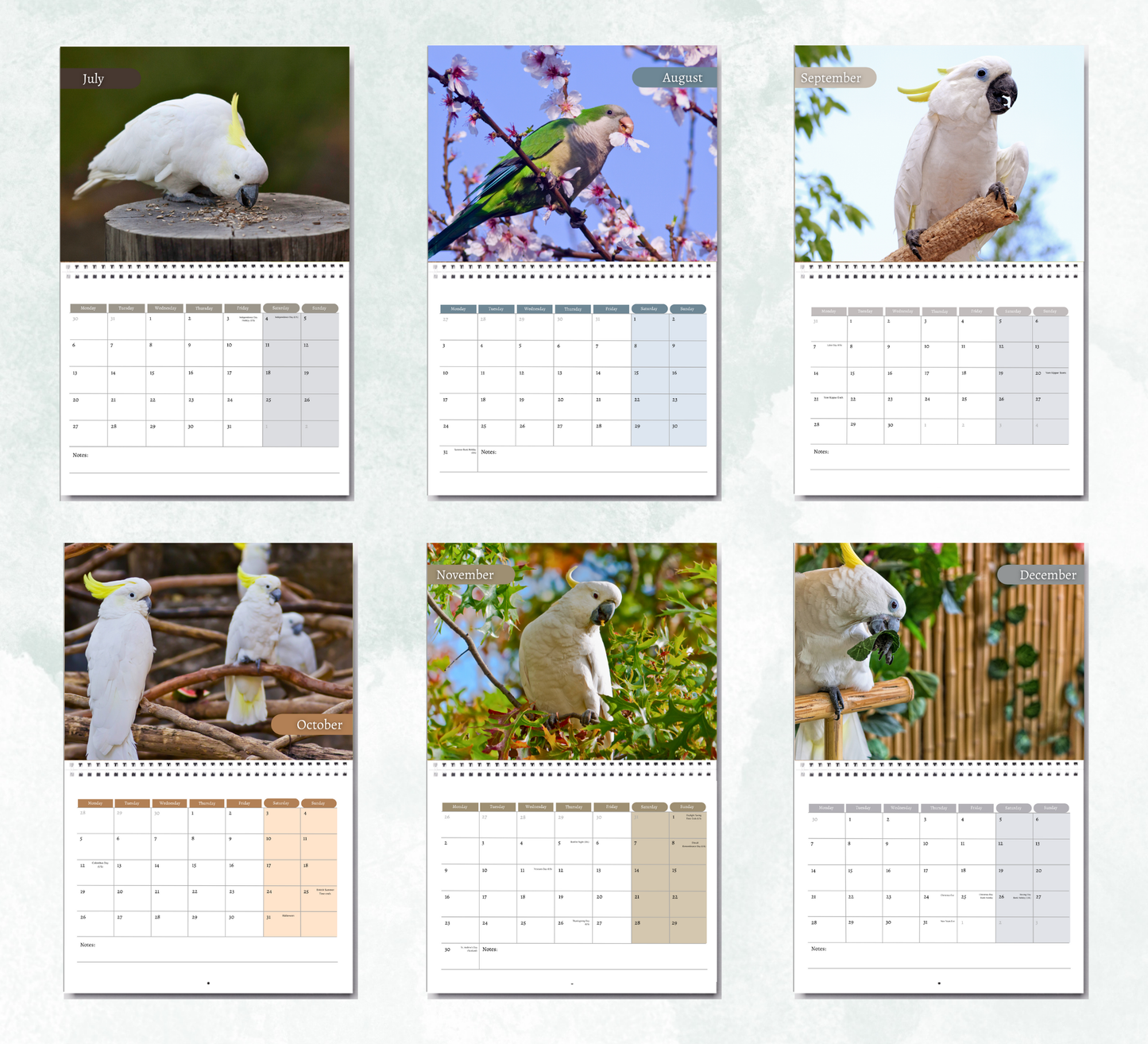 Cockatoo Calendar 2026