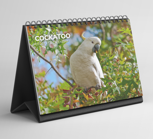 Cockatoo Desk Calendar 2026-2027