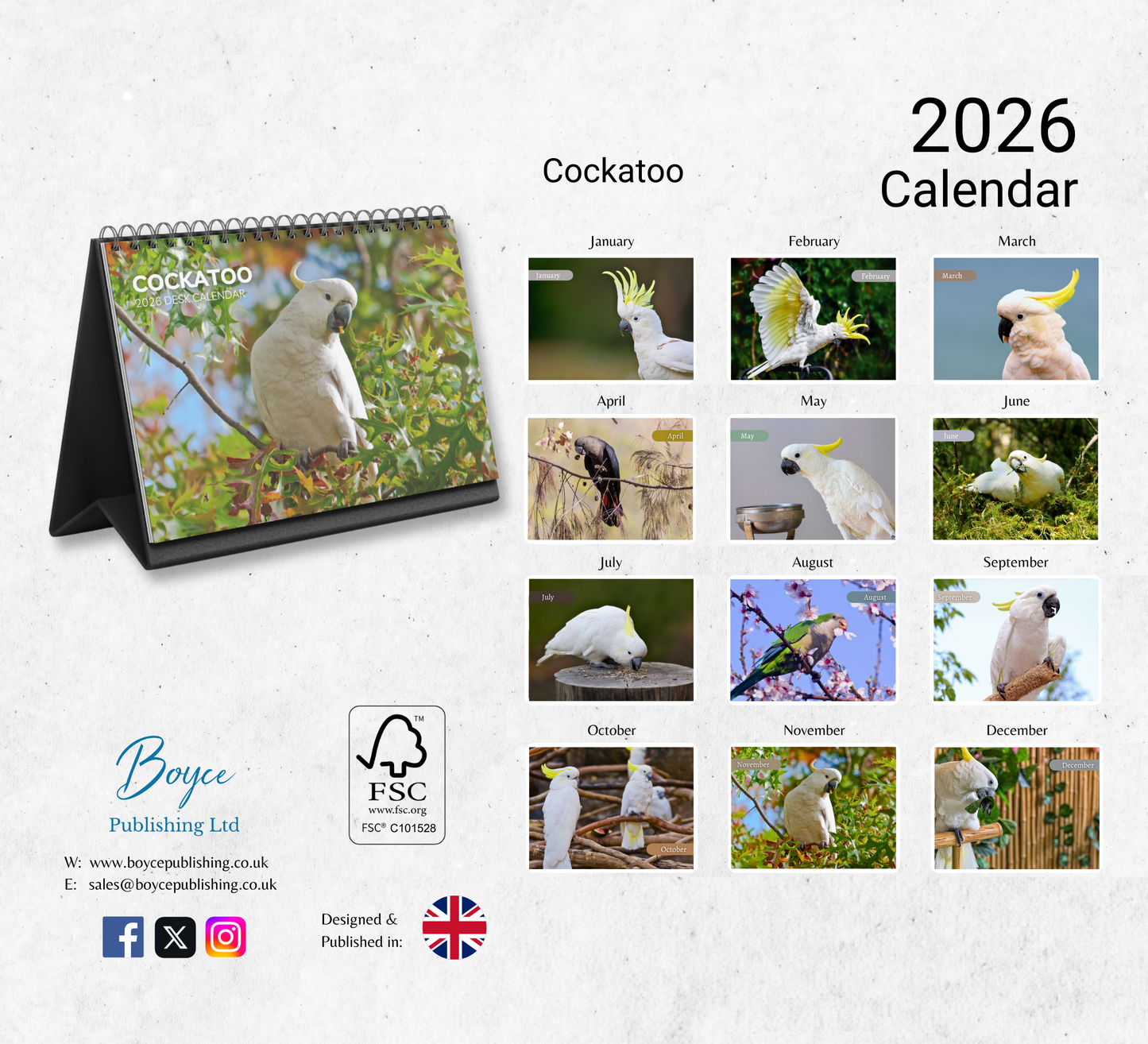 Cockatoo Desk Calendar 2026-2027