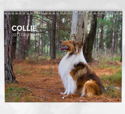 Collie Calendar 2027
