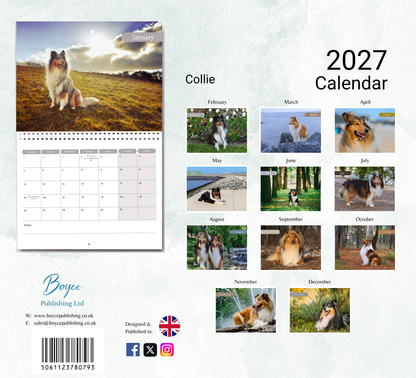 Collie Calendar 2027