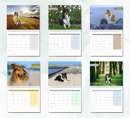 Collie Calendar 2027