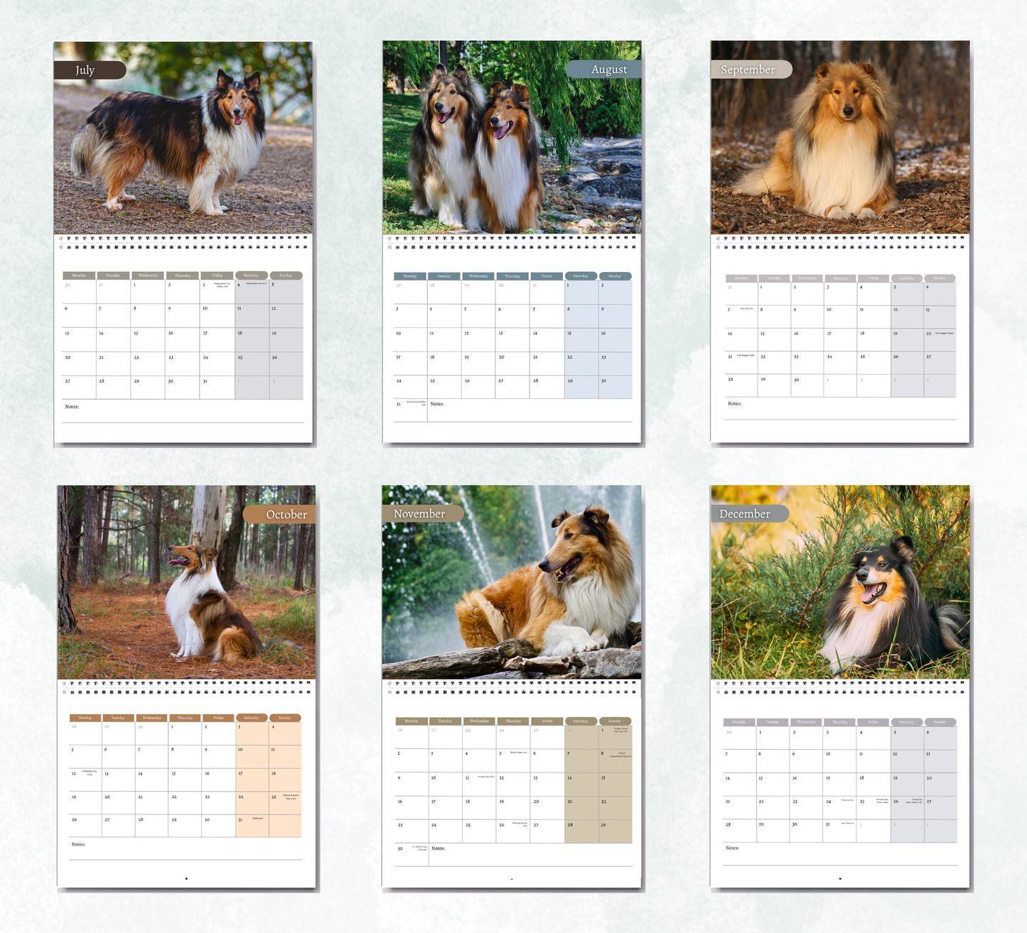Collie Calendar 2027