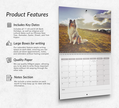 Collie Calendar 2027