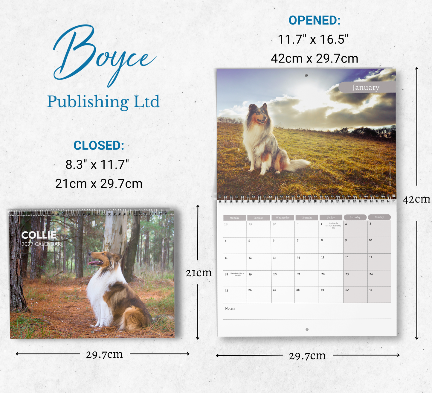 Collie Calendar 2027