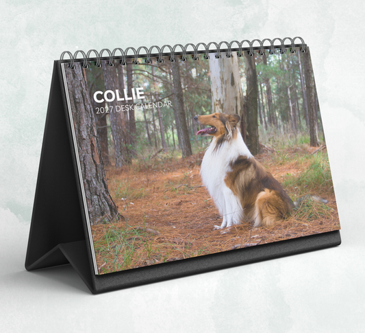 Collie Desk Calendar 2027-2028
