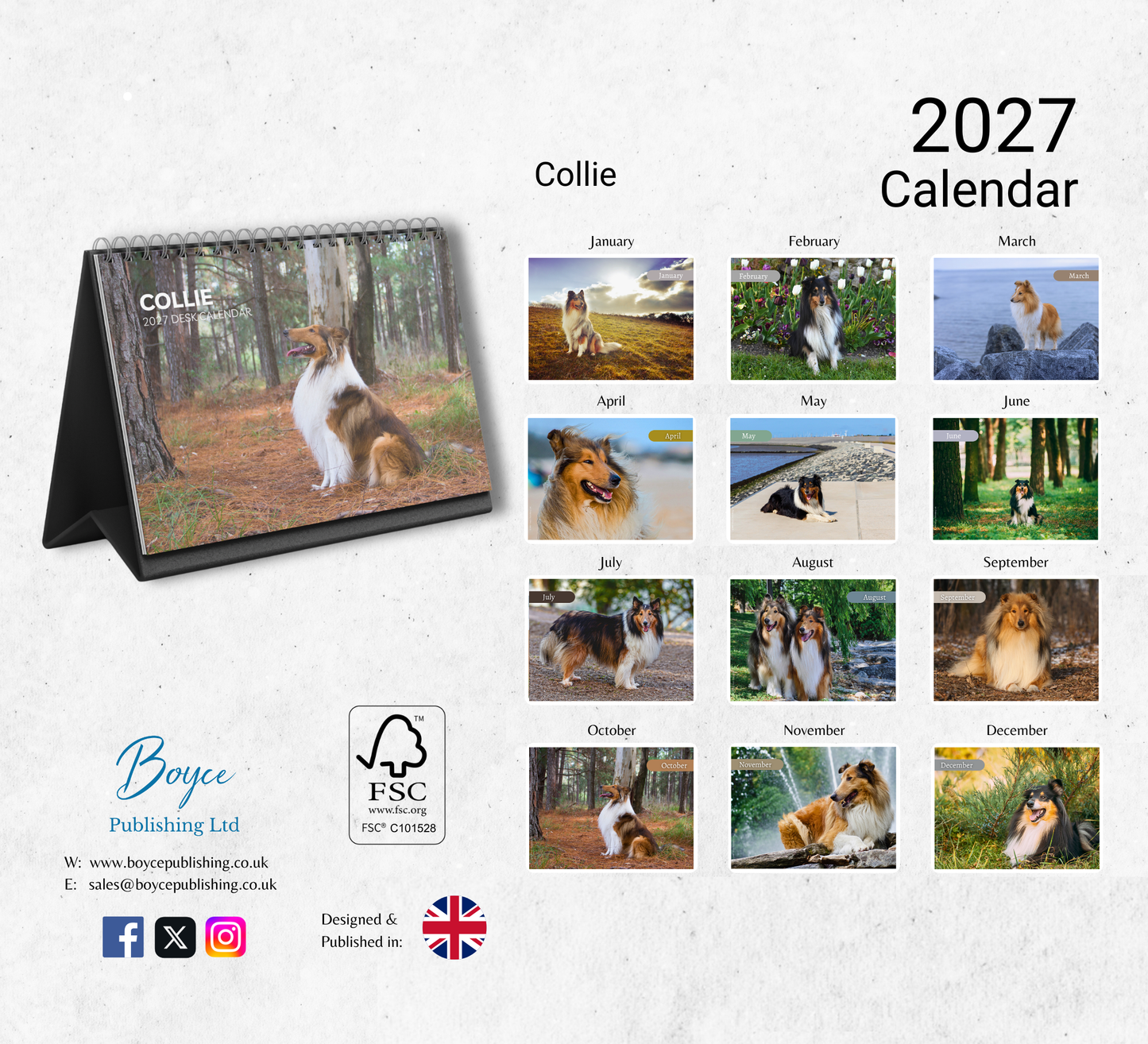 Collie Desk Calendar 2027-2028