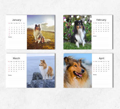 Collie Desk Calendar 2027-2028