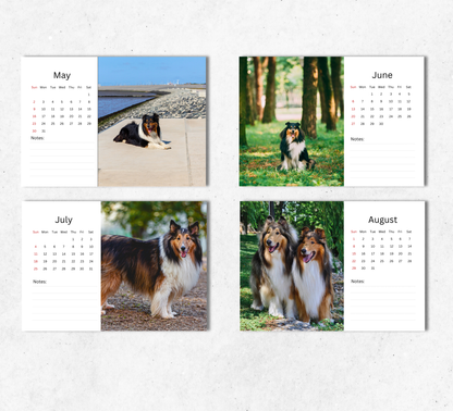 Collie Desk Calendar 2027-2028