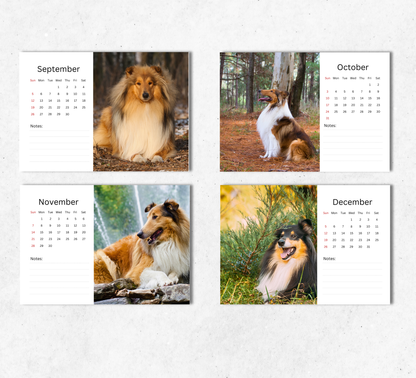 Collie Desk Calendar 2027-2028