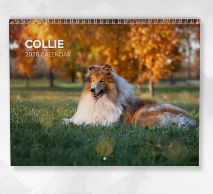 Collie Calendar 2026