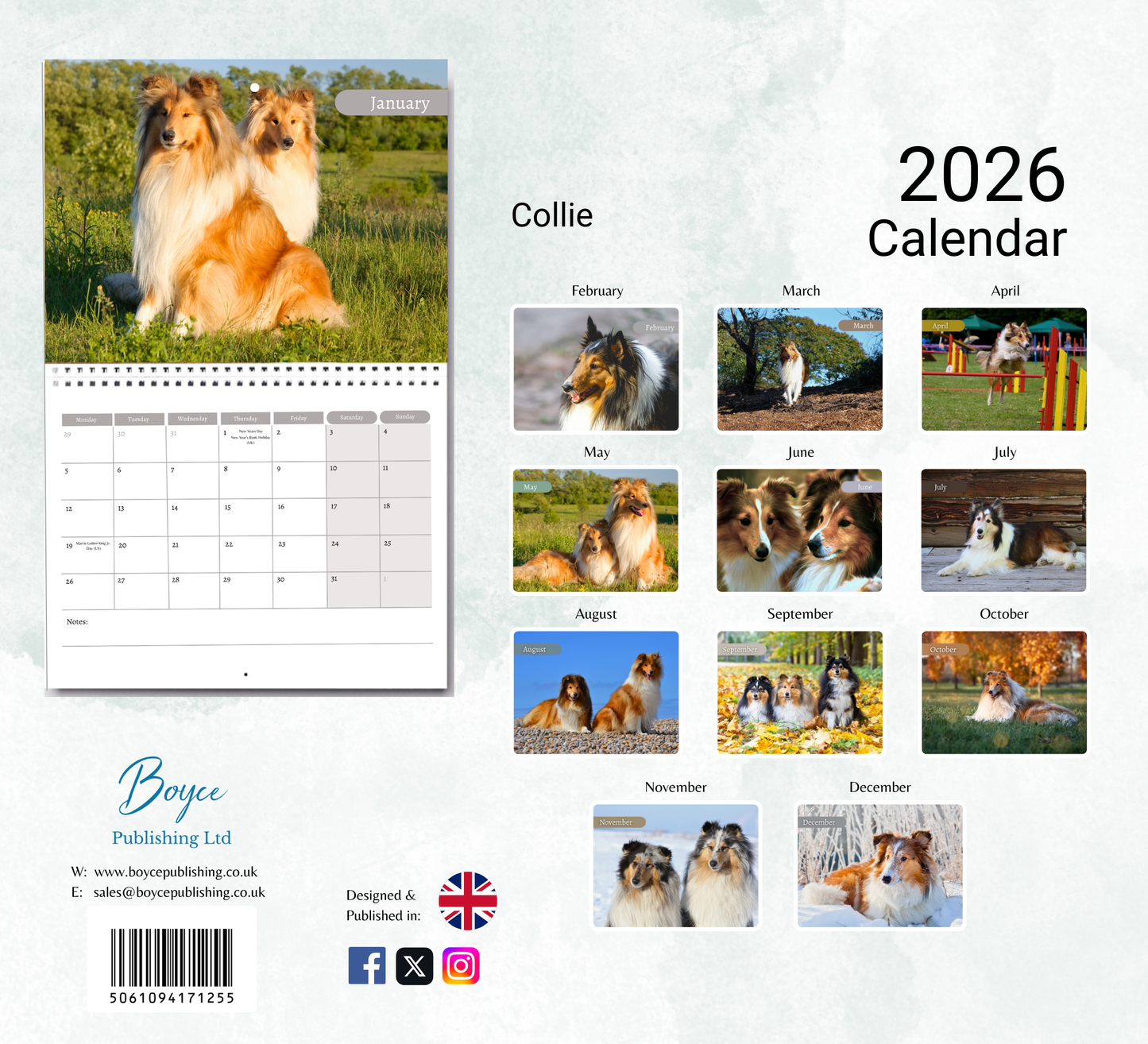 Collie Calendar 2026