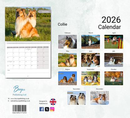 Collie Calendar 2026