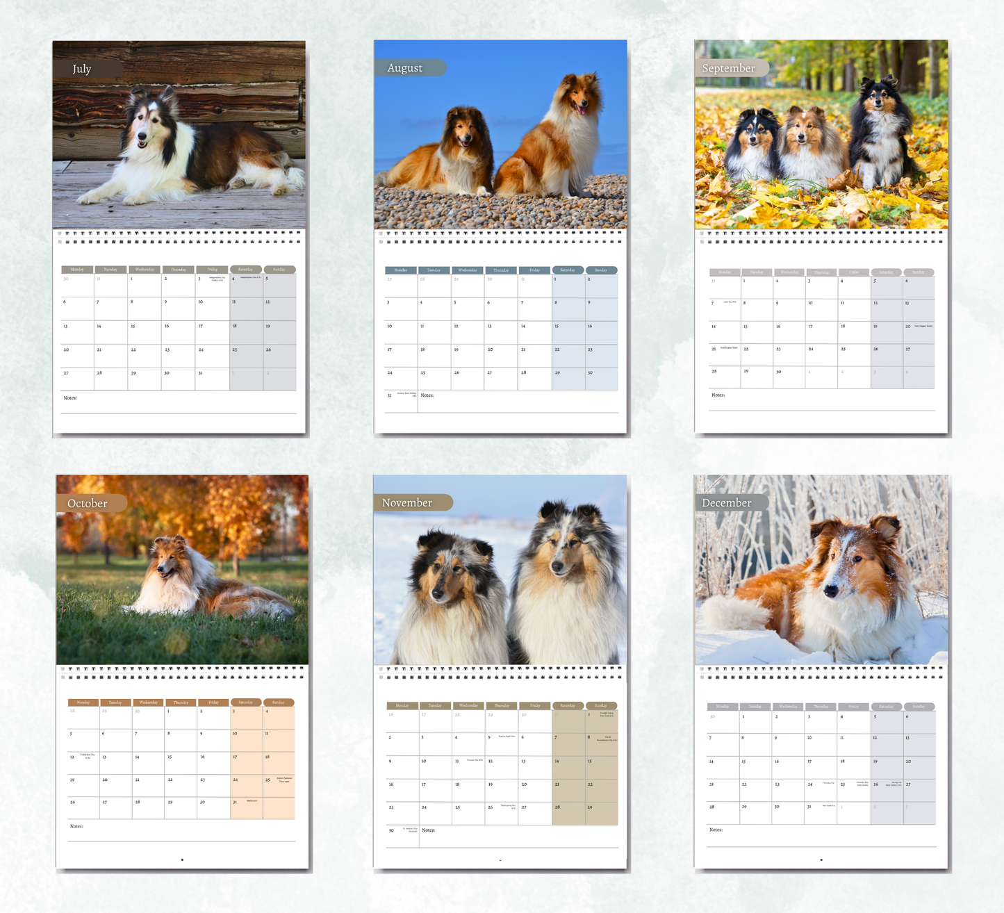 Collie Calendar 2026